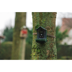 BRAUN Bird Cam 130 Solar