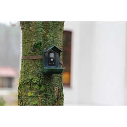 BRAUN Bird Cam 130 Solar