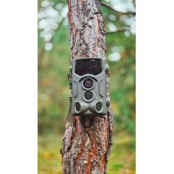 BRAUN Scouting Cam Black800