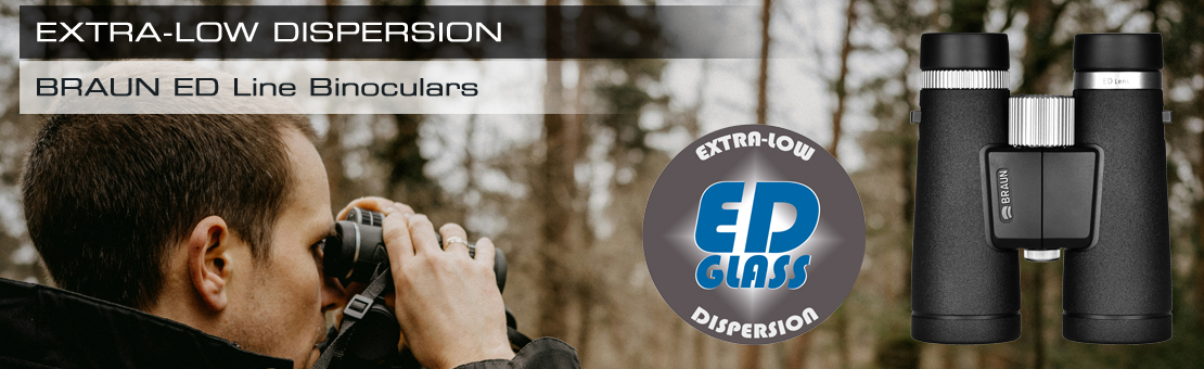 Banner ED Line english