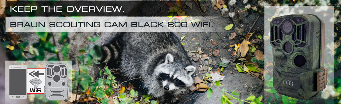 BRAUN Scouting Cam BLACK800 WiFi