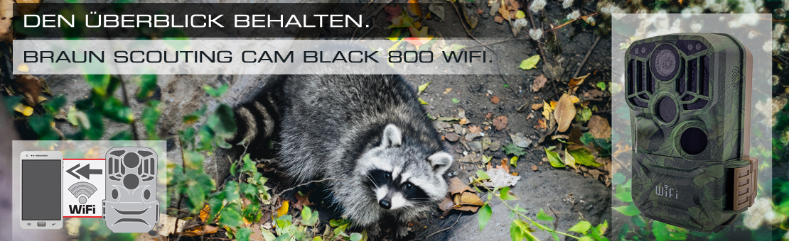 BRAUN Scouting Cam BLACK800 WiFi